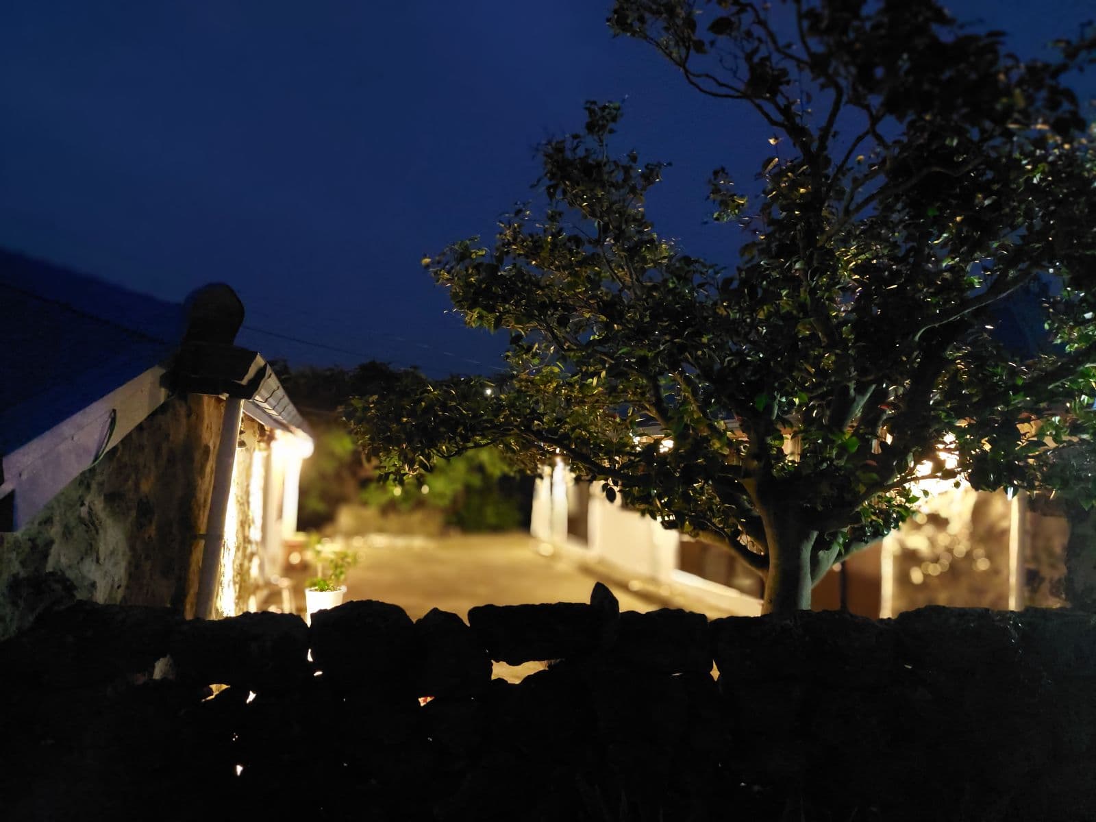 Our Jeju Traditional Houses